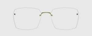Okulary Lindberg 2586 P169 - kolekcja 2026 - 48/21/135