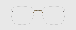 Okulary Lindberg 2586 P170 - kolekcja 2026 - 48/21/135