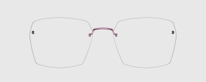 Okulary Lindberg 2586 P172 - kolekcja 2026 - 48/21/135