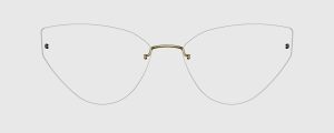 Okulary Lindberg 4253 P133 - kolekcja 2026 - 48/21/135