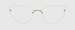 Okulary Lindberg 4253 P134 - kolekcja 2026 - 48/21/135