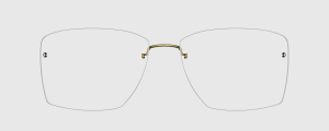 Okulary Lindberg 83050 P73 - kolekcja 2026 - 48/21/135