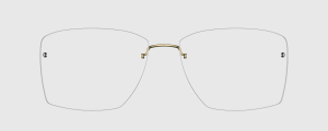Okulary Lindberg 83050 P80 - kolekcja 2026 - 48/21/135