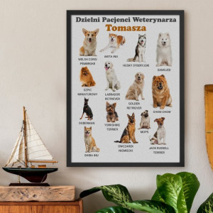 Plakat w ramce (30x40 cm) dla weterynarza - Dzielni pacjenci