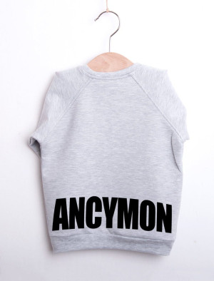 Szara bluza Ancymon