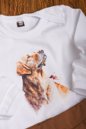 Body niemowlęce golden retriever