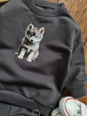 Grafitowy komplet dresowy wilczek bluza + spodnie