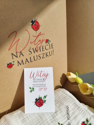 Ozdobne pudełko na wyprawkę dla maluszka + liścik z życzeniami biedroneczki