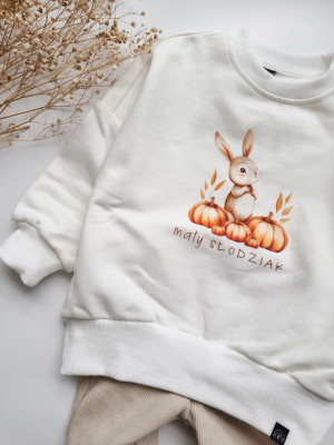 Bluza dziecięca mały słodziak z dyniami