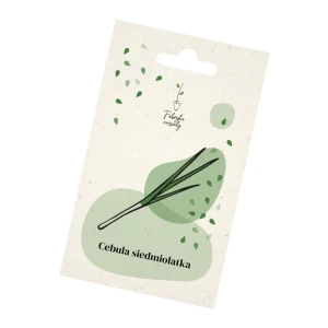 Nasiona cebuli siedmiolatki