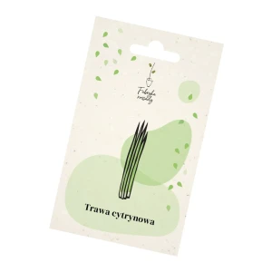 Nasiona trawy cytrynowej