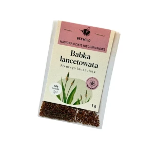Nasiona babki lancetowatej
