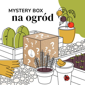 Mystery Box roślin na ogród