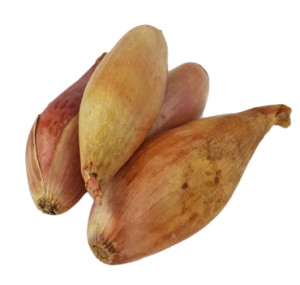 CEBULA SZALOTKA BIO ŚWIEŻA (ok. 0,50 kg)