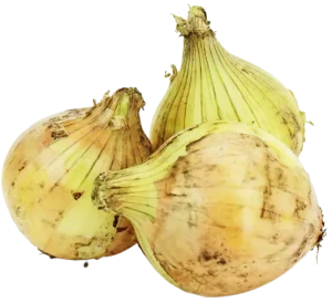 CEBULA ŻÓŁTA ŚWIEŻA BIO (ok. 1 kg)