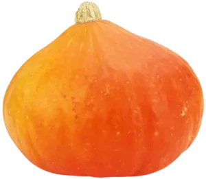 DYNIA HOKKAIDO ŚWIEŻA BIO (ok. 1,00 kg)