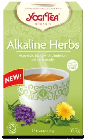 HERBATKA ZIOŁA ALKALICZNE BIO (17 x 2,1 g) 35,7 g