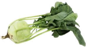 KALAREPA ŚWIEŻA BIO