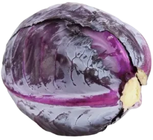 KAPUSTA CZERWONA BIO ŚWIEŻA (ok. 1,5 kg)