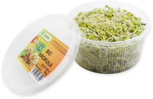 KIEŁKI BROKUŁA ŚWIEŻE BIO ok. 50 g