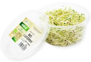 KIEŁKI LUCERNY ŚWIEŻE BIO ok. 50 g