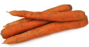 MARCHEW ŚWIEŻA BIO NIEMYTA (ok. 1,00 kg)
