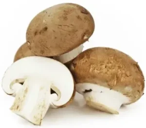 PIECZARKI BRĄZOWE ŚWIEŻE BIO (ok. 250 g)