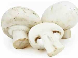 PIECZARKI BIAŁE ŚWIEŻE BIO (ok. 250 g)