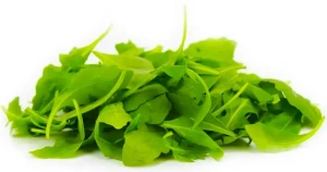RUKOLA ŚWIEŻA NIEMYTA BIO (ok. 0,10 kg)