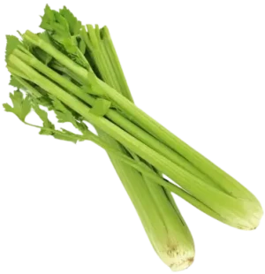 SELER NACIOWY ŚWIEŻY BIO (ok. 0,30 kg)