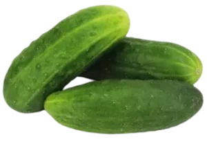 OGÓRKI ŚWIEŻE BIO GRUNTOWE (ok. 1 kg)