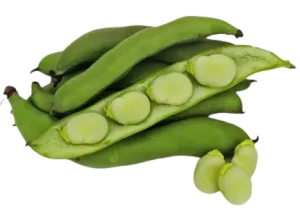 BÓB ŚWIEŻY BIO (ok. 0,5 kg)