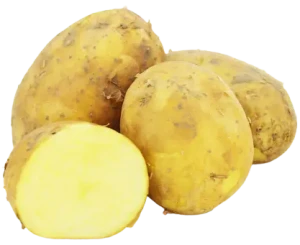 ZIEMNIAKI MŁODE ŻÓŁTE ŚWIEŻE BIO (siatka ok. 2 kg)