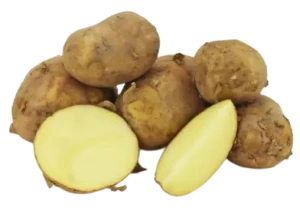 ZIEMNIAKI MŁODE BIAŁE ŚWIEŻE BIO (siatka ok. 2 kg)