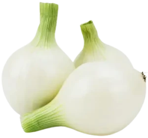 CEBULA BIAŁA CUKROWA ŚWIEŻA BIO (ok. 1,00 kg)