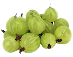 AGREST ŚWIEŻY BIO (ok. 0,25 kg)