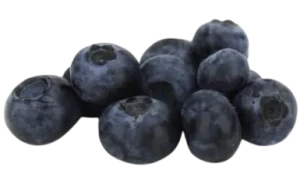 BORÓWKI ŚWIEŻE BIO (tacka ok. 0,25 kg)