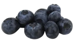BORÓWKI ŚWIEŻE BIO (ok. 0,5 kg)