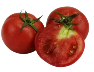 POMIDORY OKRĄGŁE ŚWIEŻE BIO (ok. 0,5 kg)