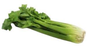 SELER NACIOWY ŚWIEŻY BIO (ok. 0,35 kg)
