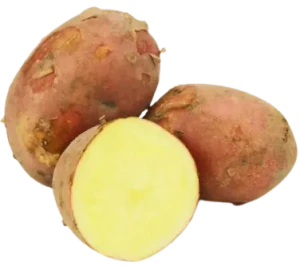 ZIEMNIAKI CZERWONE MŁODE ŚWIEŻE BIO (ok. 2 kg)