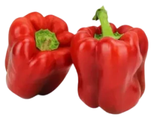 PAPRYKA CZERWONA ŚWIEŻA BIO (ok. 0,5 kg)