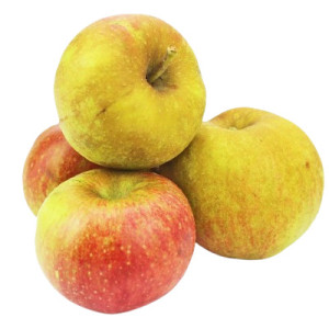 JABŁKA BOSKOOP BIO ŚWIEŻE (ok. 1,00 kg)