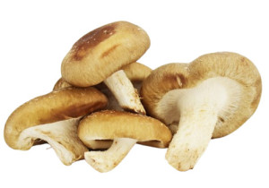 GRZYBY SHIITAKE ŚWIEŻE BIO (ok. 0,20 kg)