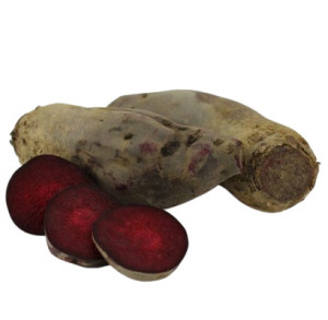 BURAK ŚWIEŻY PODŁUŻNY BIO (siatka ok. 1 kg)