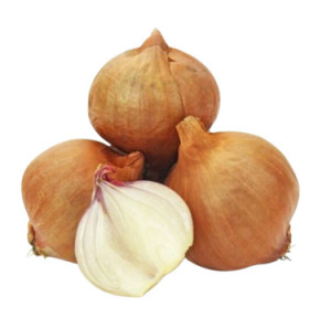 CEBULA SZALOTKA ŚWIEŻA BIO (siatka ok. 0,5 kg)