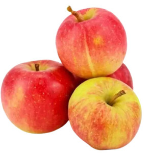 JABŁKA NA SOK ŚWIEŻE BIO (ok. 1 kg)