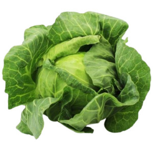 KAPUSTA BIAŁA MŁODA ŚWIEŻA BIO (ok. 1,2 kg)