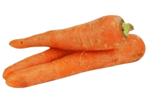 MARCHEW MŁODA ŚWIEŻA BIO (ok. 1,00 kg)