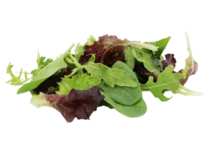 MIX SAŁAT ŚWIEŻY NIEMYTY BIO (około 0,10 kg)